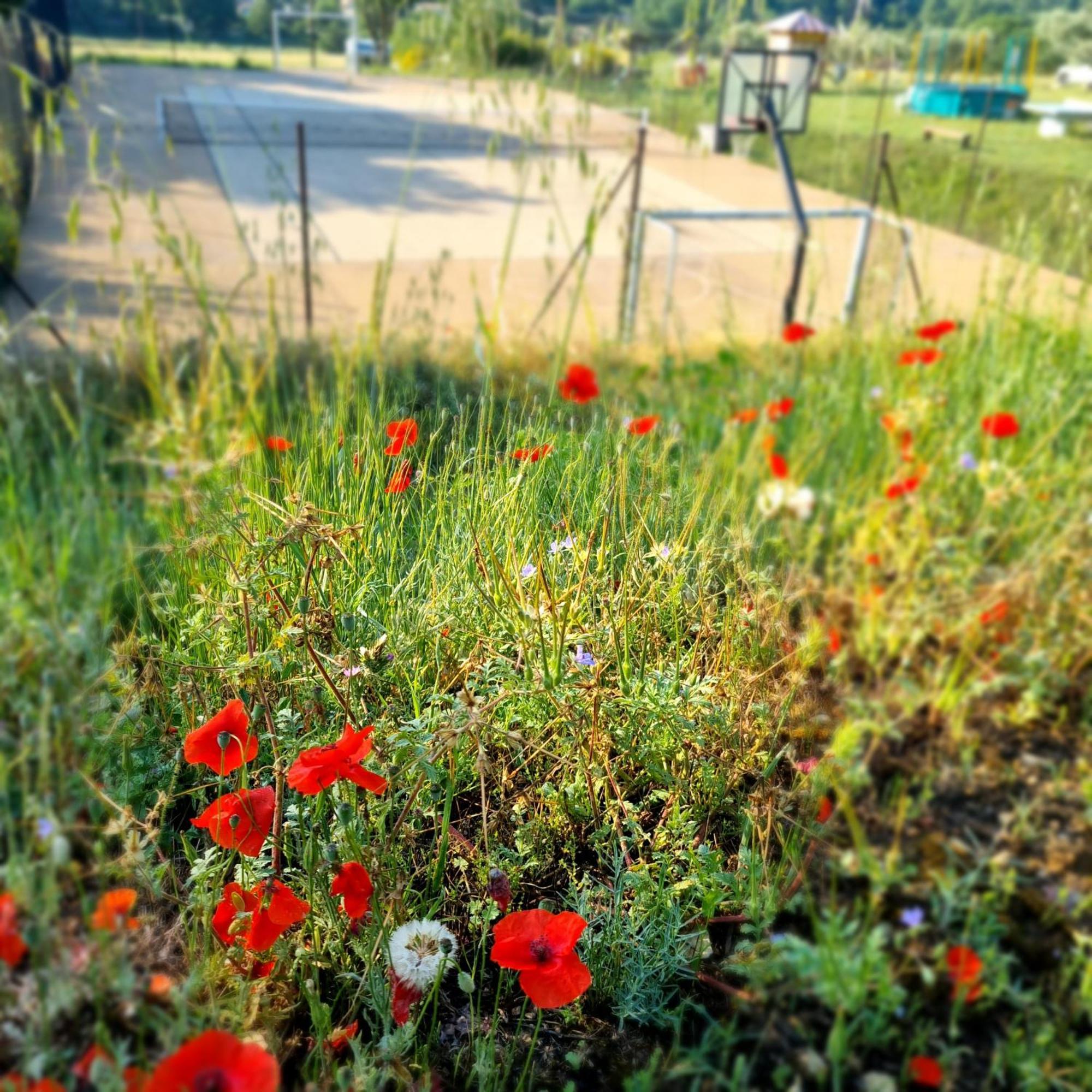 L'Oustaou Du Luberon Et Spa Villelaure 외부 사진