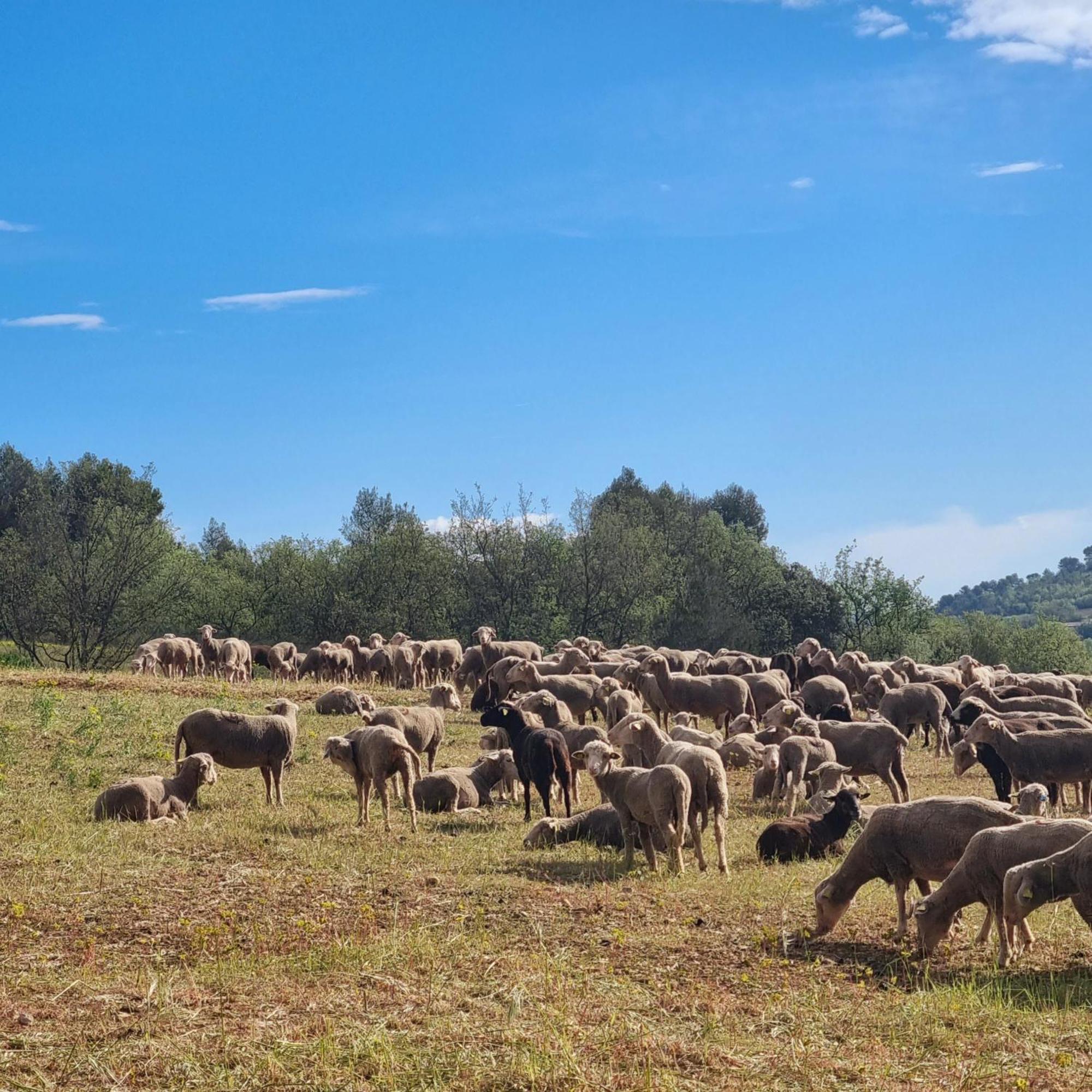 L'Oustaou Du Luberon Et Spa Villelaure 외부 사진