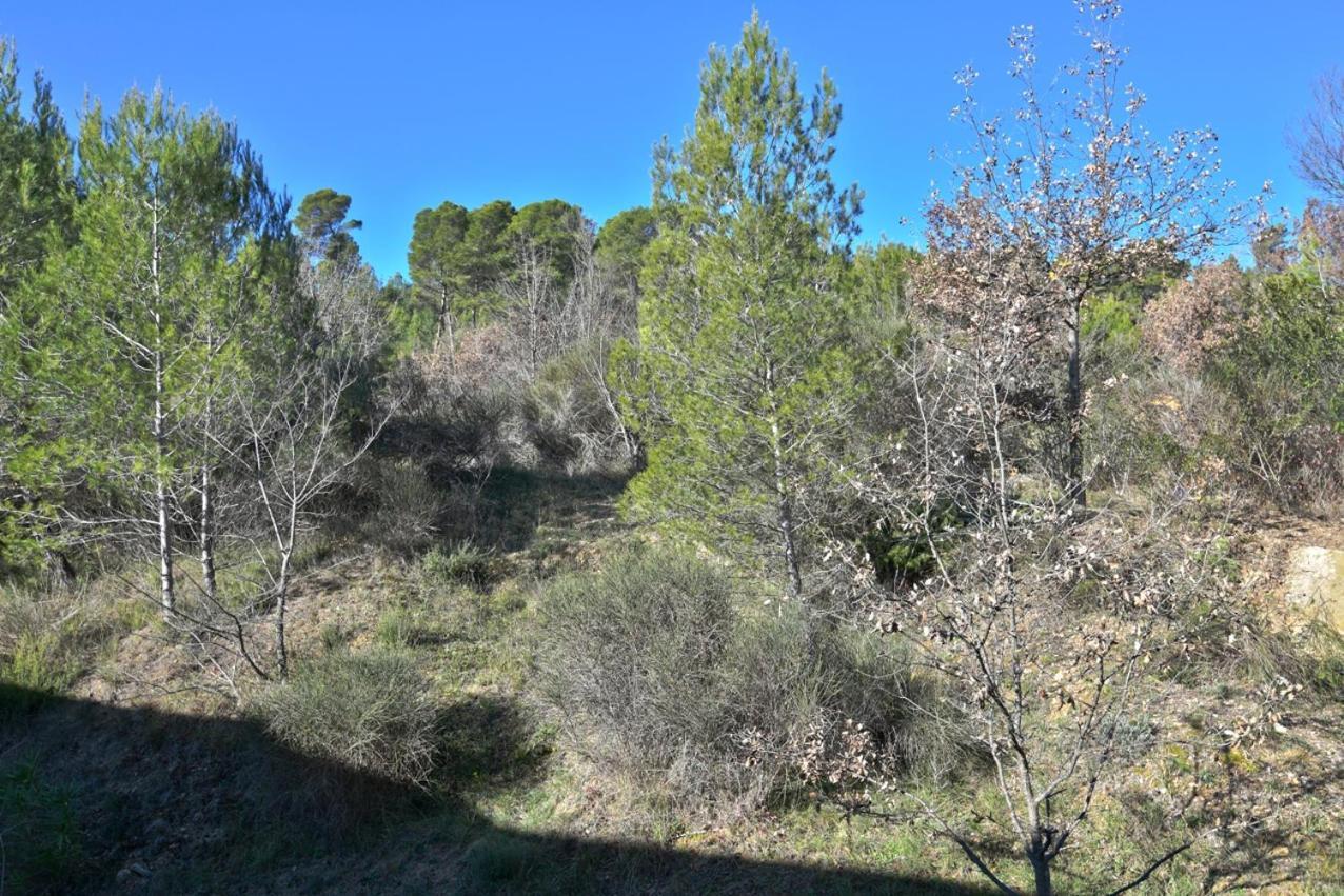 L'Oustaou Du Luberon Et Spa Villelaure 외부 사진