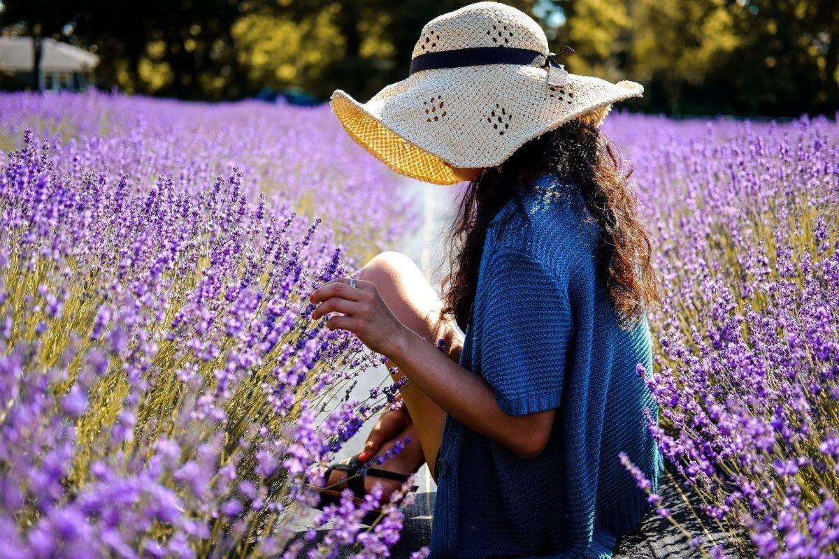 L'Oustaou Du Luberon Et Spa Villelaure 외부 사진