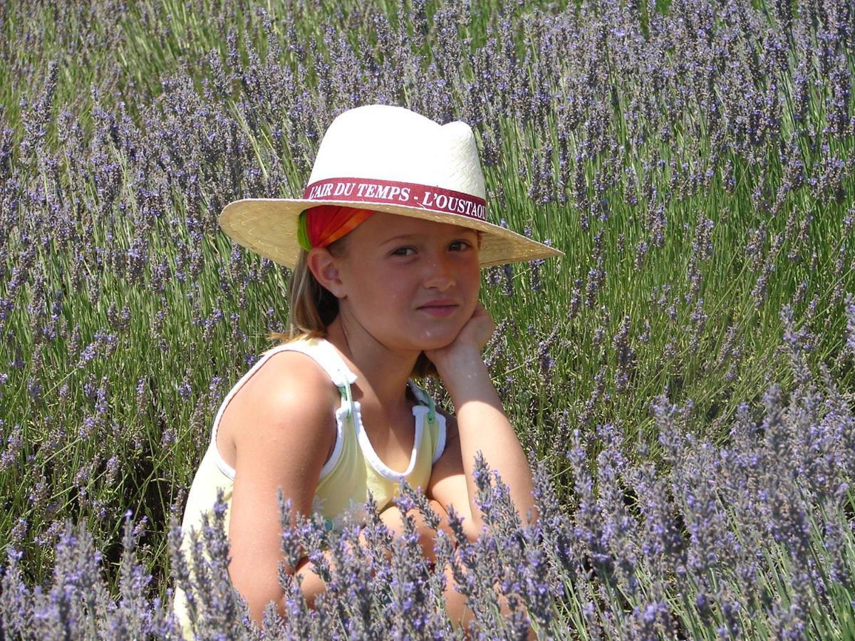 L'Oustaou Du Luberon Et Spa Villelaure 외부 사진