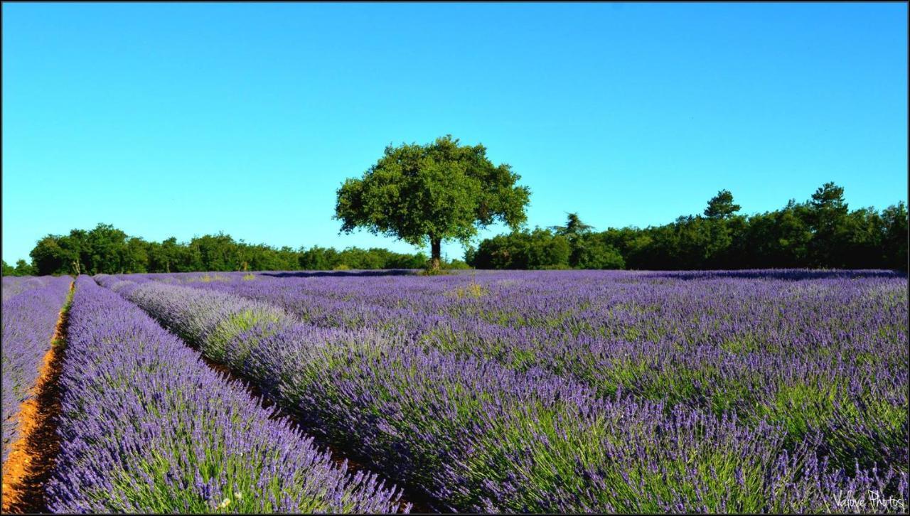 L'Oustaou Du Luberon Et Spa Villelaure 외부 사진